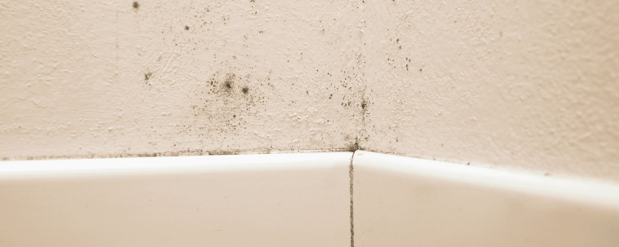 mold growth on wall nyc mold exposure lawyer